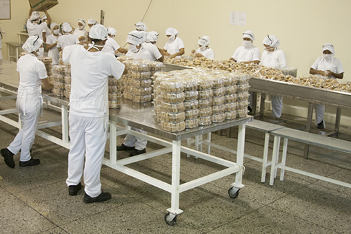 Fábrica de Galletas